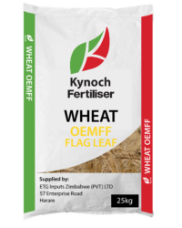 Wheat Oemff Flag Leaf